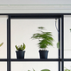 Illustration for article titled Shelving That Automatically Waters Your Plants, Even When You Forget